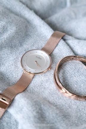 Skagen jam tangan