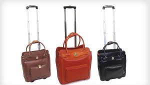 Travel bags on wheels