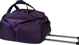 Bag on wheels with retractable handle: trolley bag, suitcase bag, hockey, foldable, Dakine