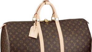 Bolsos Louis Vuitton