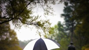 Fashionable umbrellas