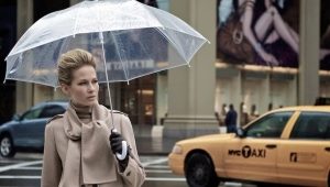 Transparent umbrella