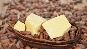 Cocoa Butter: Properties and Applications in Cosmetology