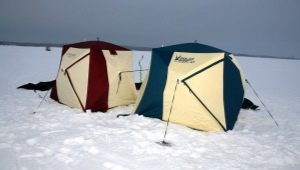 Tenda Bullfinch: ciri-ciri dan model terbaik