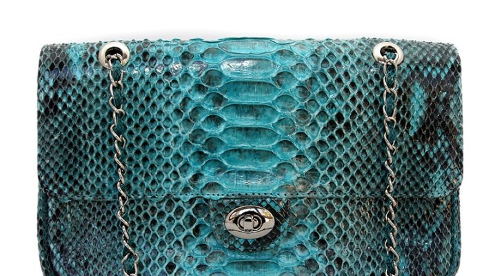 Women's Python Leather Bags