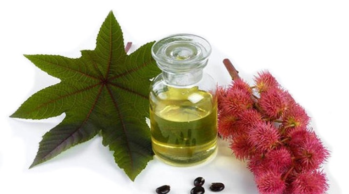 Properties of castor oil for hair