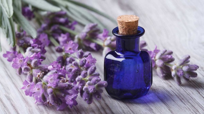 Lavender oil for hair