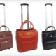 Travel bags on wheels