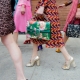 Bags from Gucci 2019