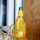 Garnier Hair Oil