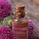 Burdock oil for hair growth