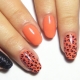 Manicure harimau