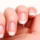 All about the cuticle and its care